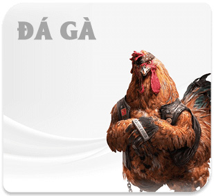 Banner đá gà XX88