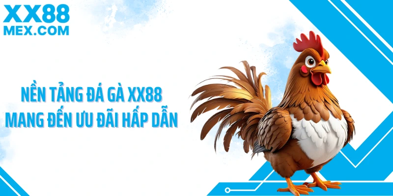 Nền tảng đá gà XX88 mang đến ưu đãi hấp dẫn